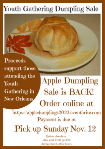 2023Apple Dumpling pic