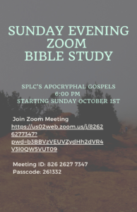 Zoom Bible Study